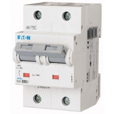 EATON MCB PLHT-D80/2 248022 80A 2P 20kA D EATON MCB PLHT-D80/2 248022 80A 2P 20kA D