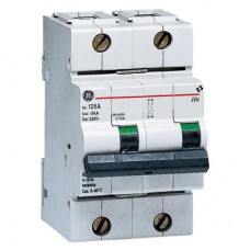 GE MCB Hti102C080 671534 80A 2P 10kA C